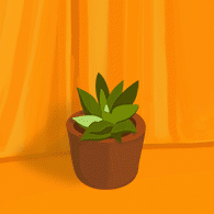 11-palm_tree.gif